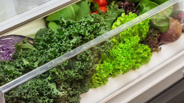 Removable Crisper Bin