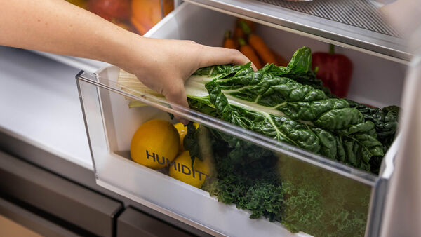 Lasting Freshness