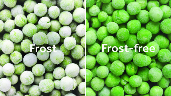 Frost-free freezer