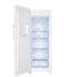 226L 500 Series Vertical Freezer  gallery image 2.0