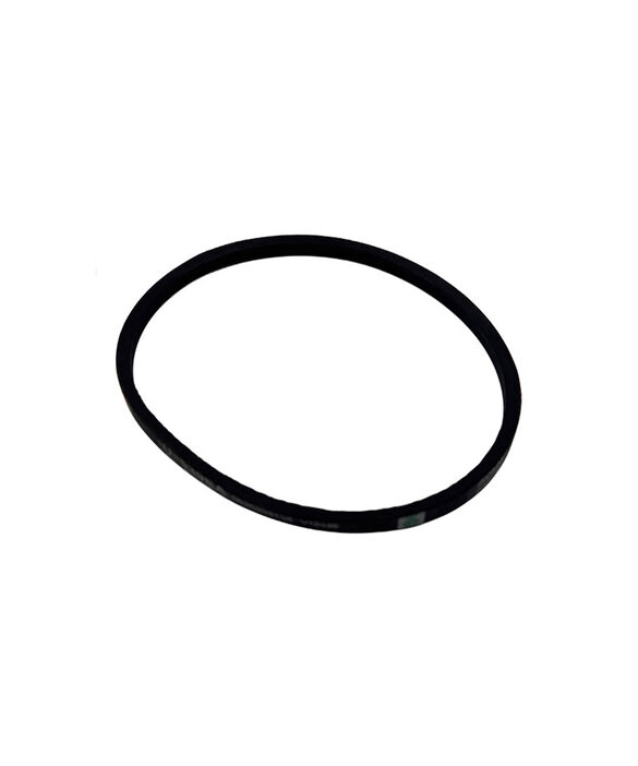 Belt, pdp